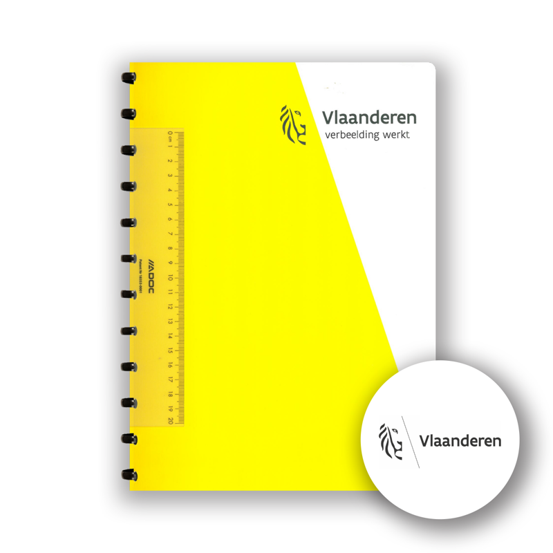 Vlaamse Overheid